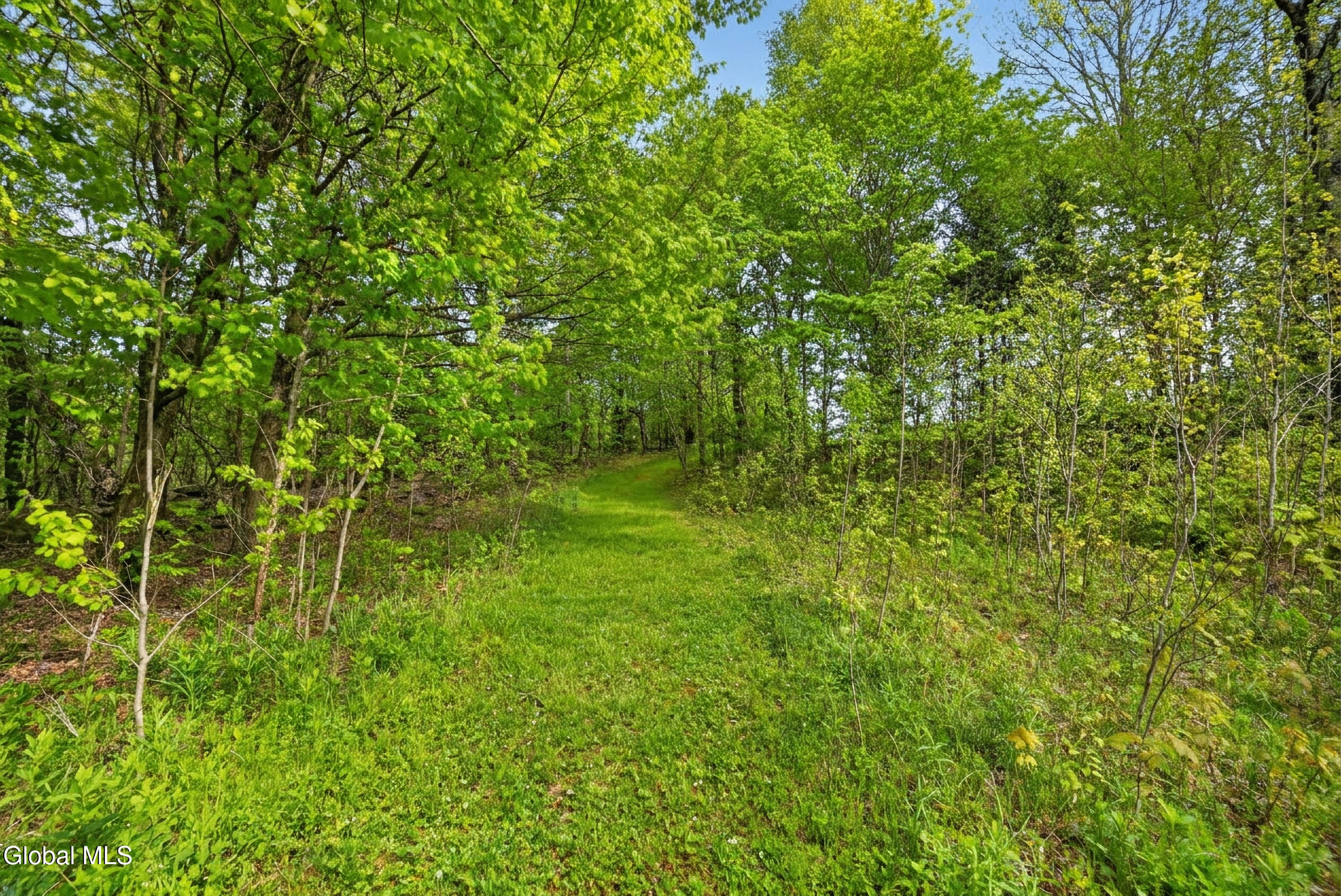 164 Zellner Road Summit, NY 12175 - Photo 90 of 102 164 Zellner Rd - Exterior-Camera-Drone-2