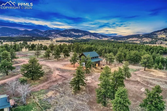 a view of a town with big tree