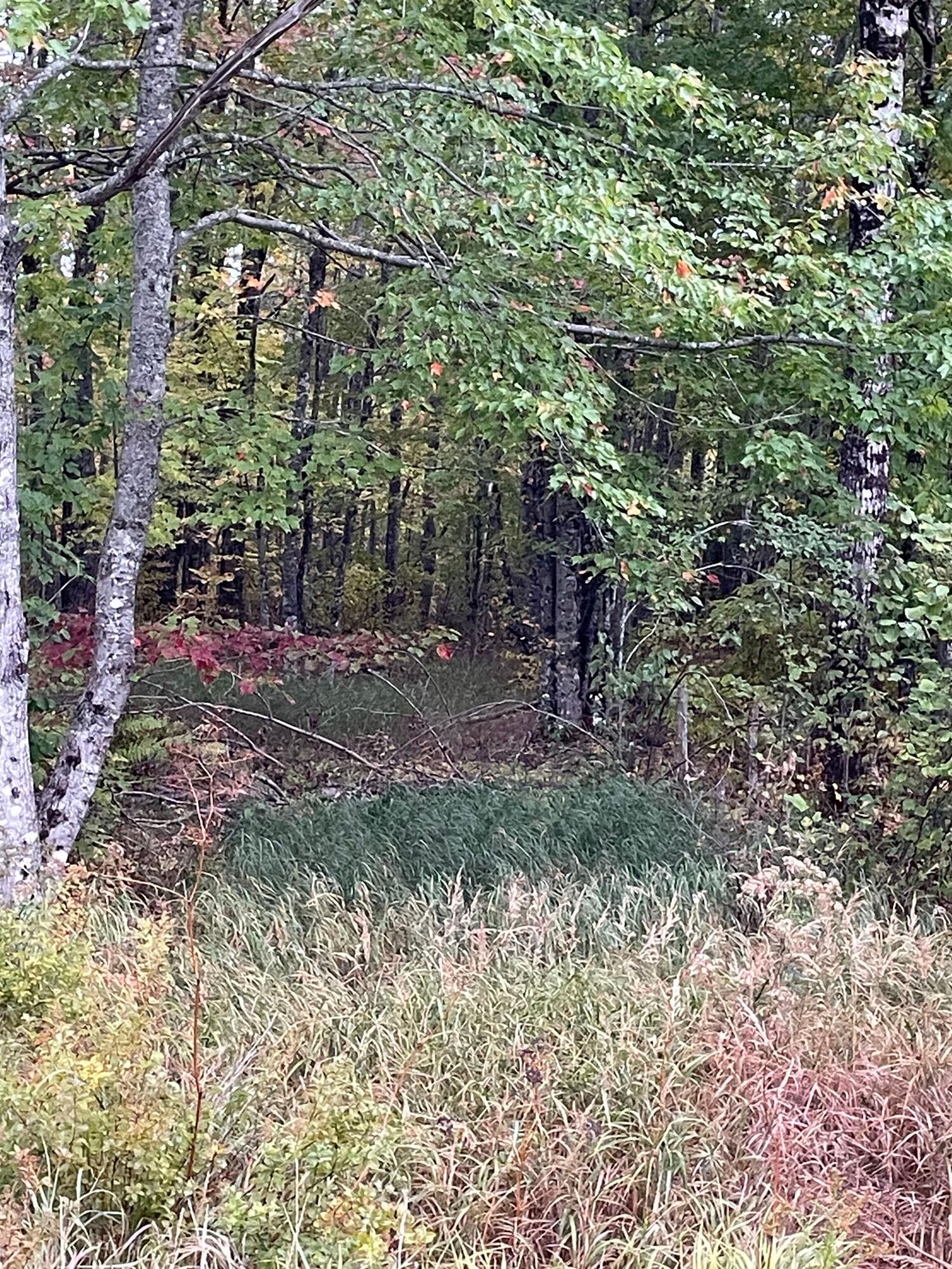 M1978-l91g Airline Road Crawford, ME 04694 - Photo 4 of 7 IMG_3114