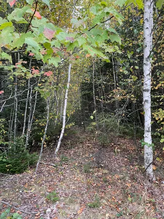 $40,000 | M1978-l91g Airline Road, Crawford, ME 04694