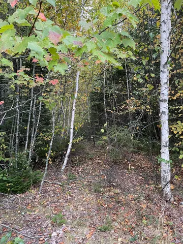 $40,000 | M1978-l91g Airline Road, Crawford, ME 04694