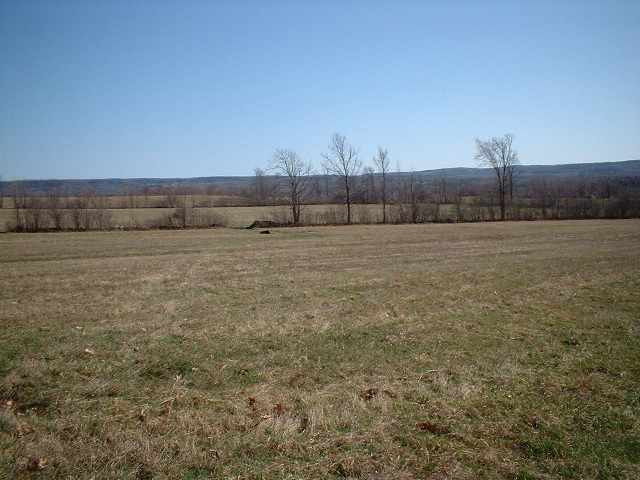 192 Gray Road Guilderland, NY 12009 - Photo 1 of 1 Photo 1