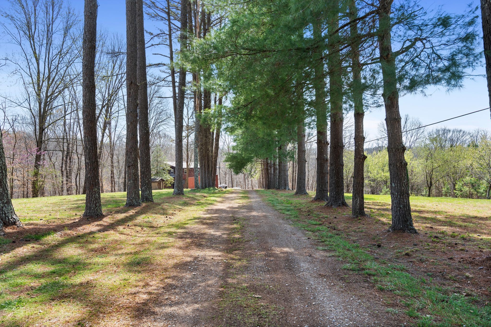 381 Studer Road Manchester, TN 37355 - Photo 23 of 43