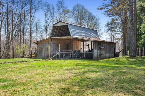 a garden view with trees