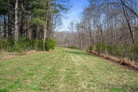 a view of a yard with trees in the background