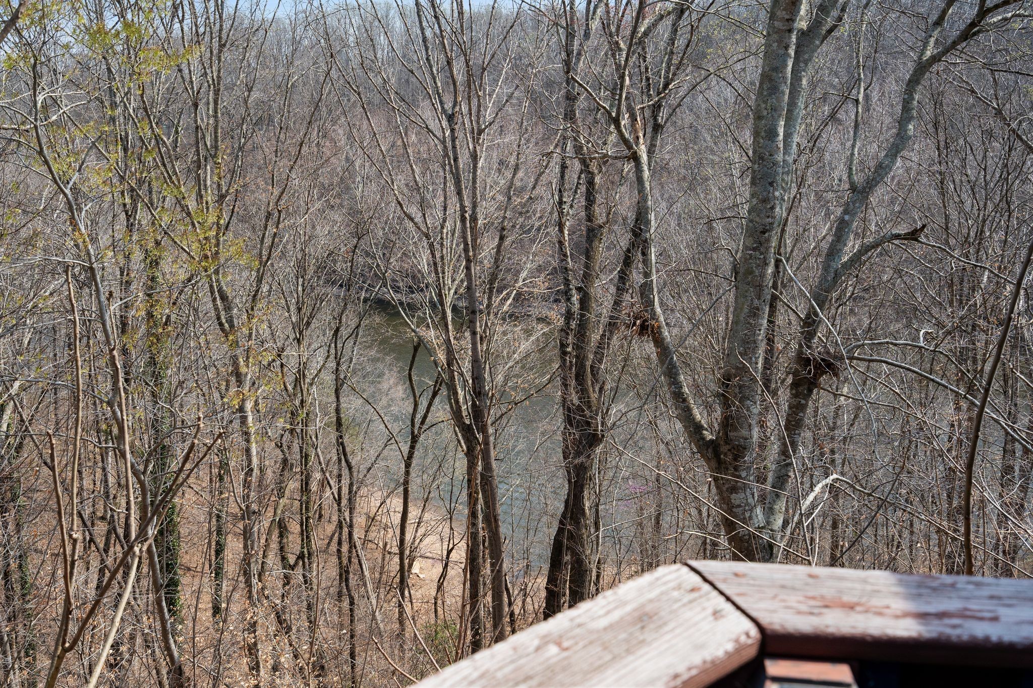 381 Studer Road Manchester, TN 37355 - Photo 10 of 43