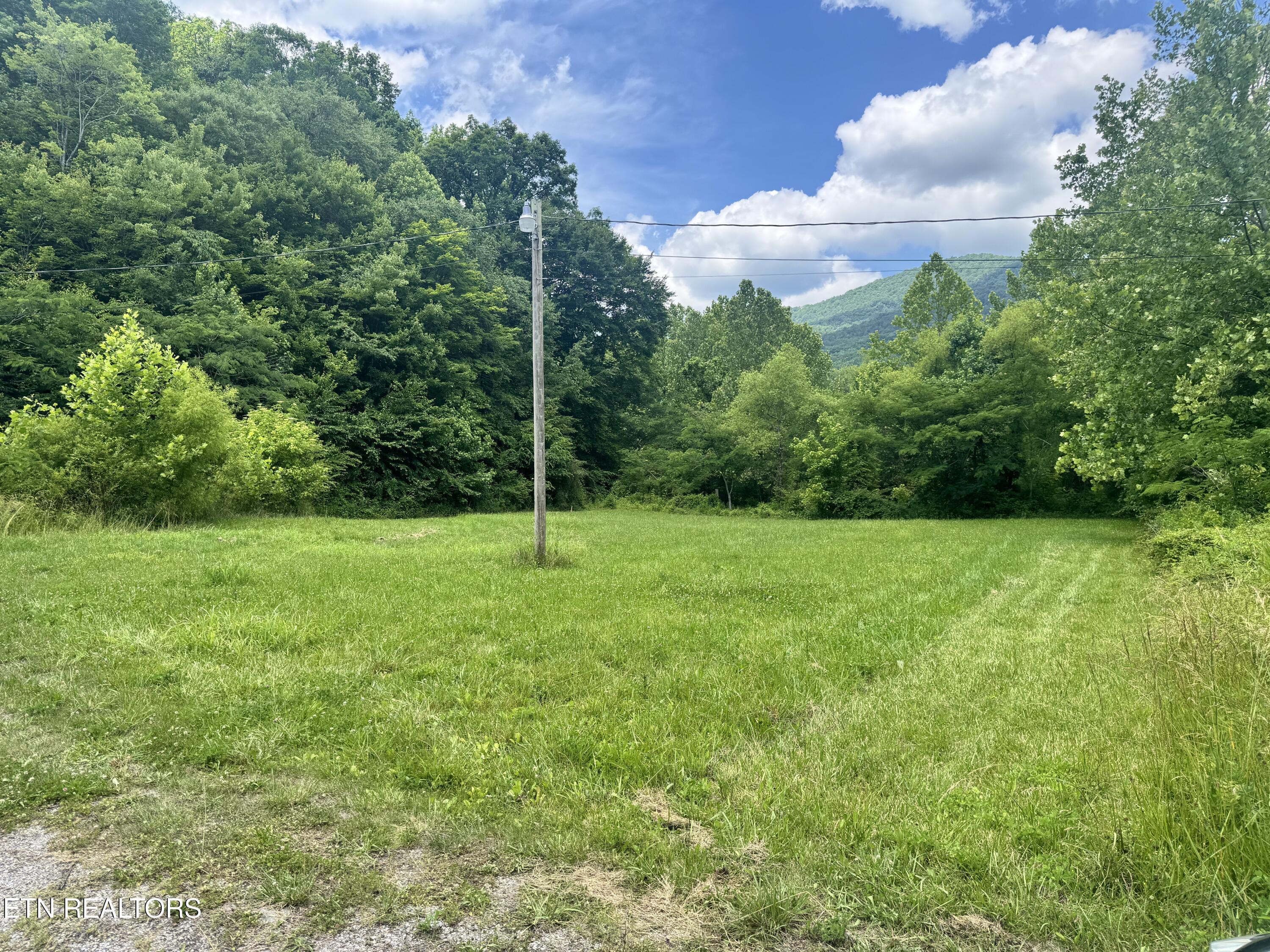 955 Rock Haven Road Bean Station, TN 37708 - Photo 14 of 23 Big House Side Yard 4
