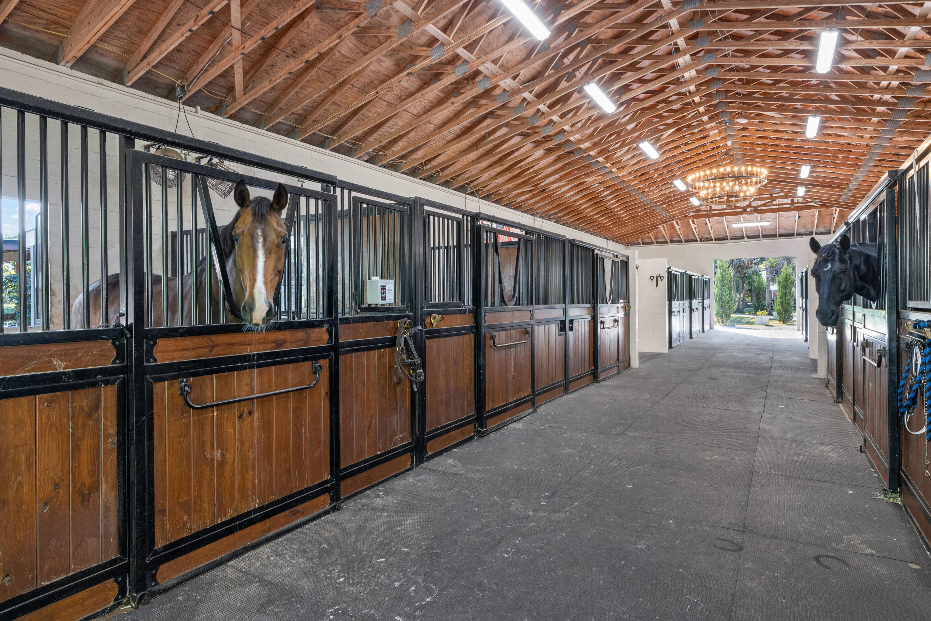 15161 Collecting Canal Road Loxahatchee Groves, FL 33470 - Photo 7 of 69 Barn One- 12 stalls