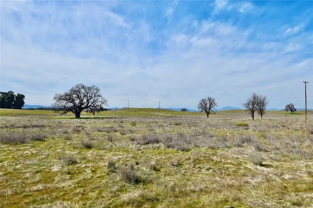 a view of three field