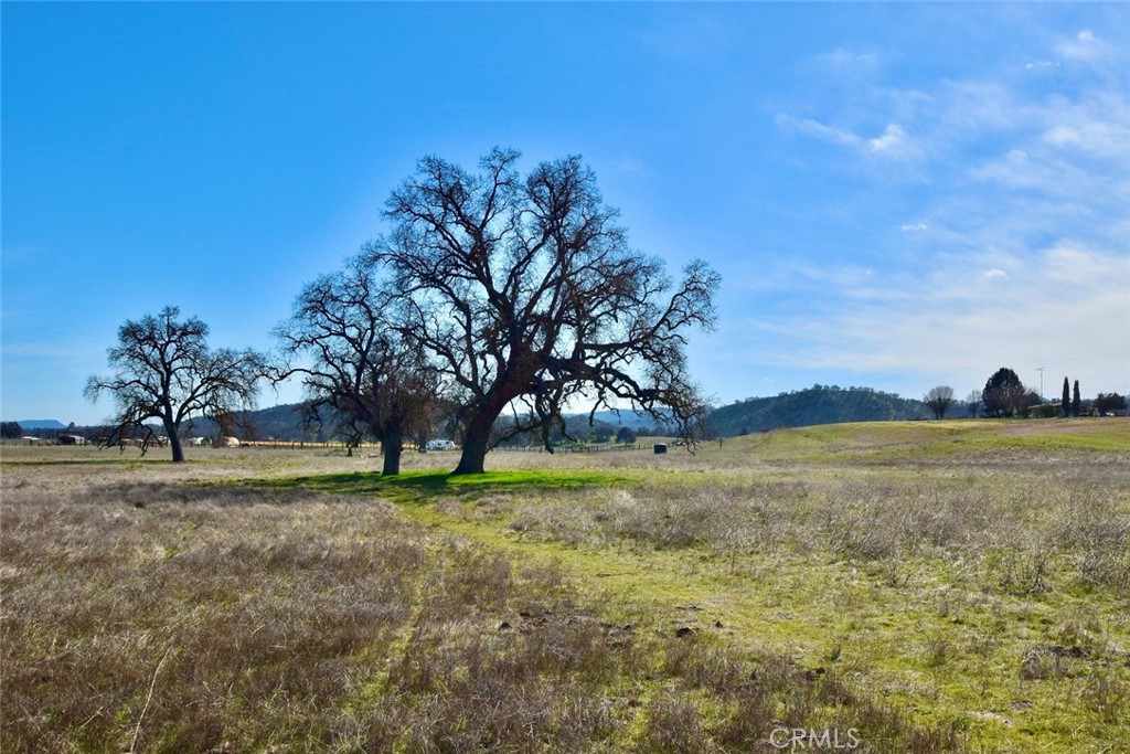 68206 Interlake Road Lockwood, CA 93426 - Photo 7 of 18 a view of outdoor space and yard