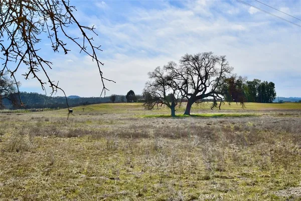 a view of outdoor space with deck and trees