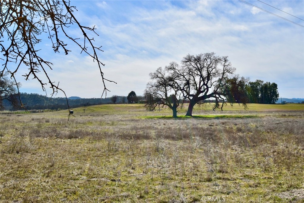 68206 Interlake Road Lockwood, CA 93426 - Photo 10 of 18 a view of outdoor space with deck and trees