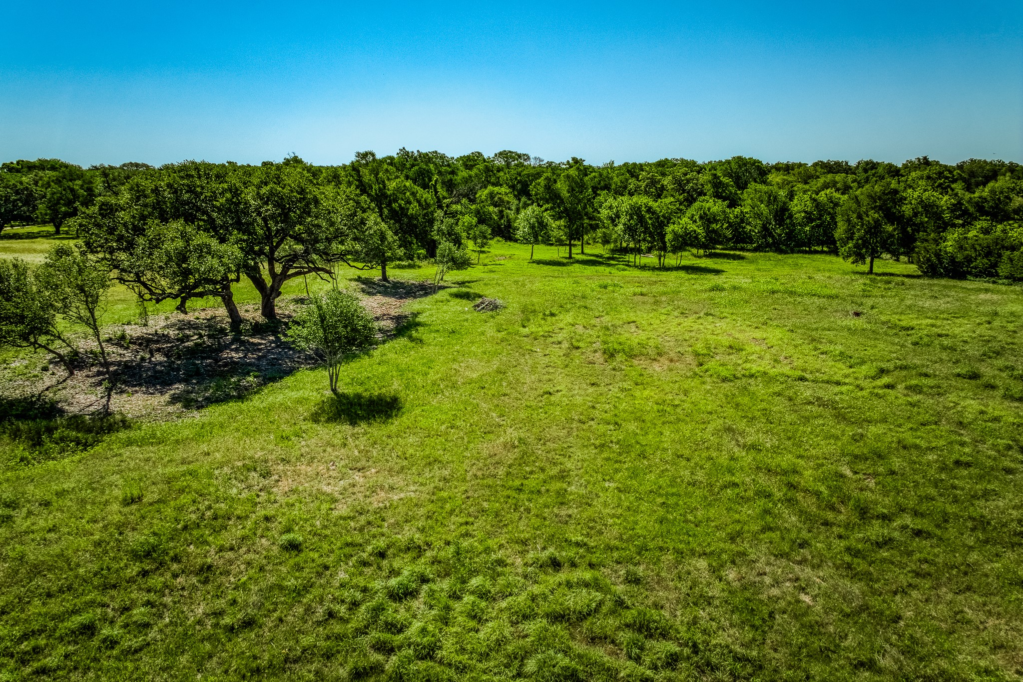 330 North Nassau Road Round Top, TX 78954 - Photo 12 of 18