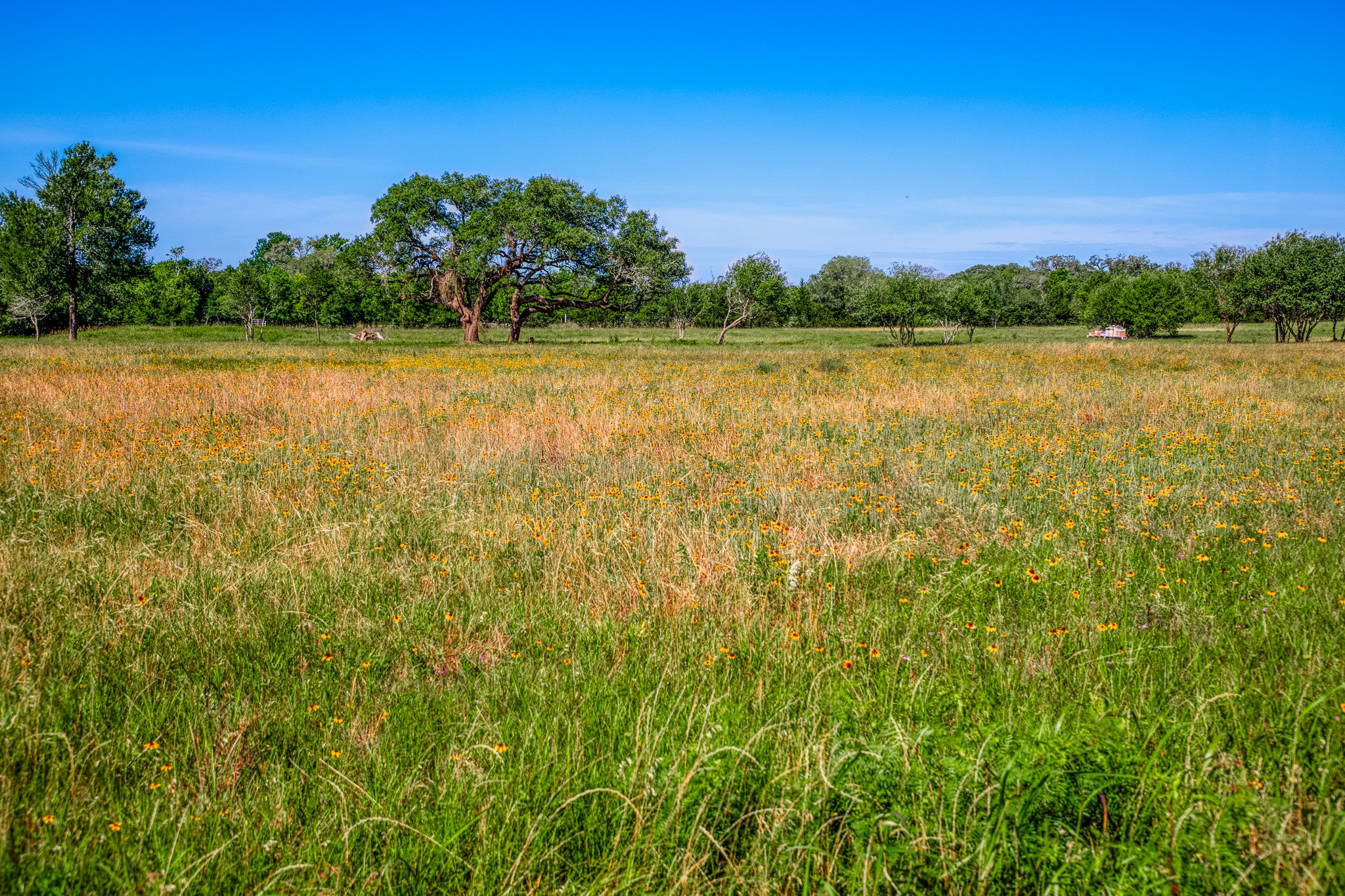 330 North Nassau Road Round Top, TX 78954 - Photo 8 of 18