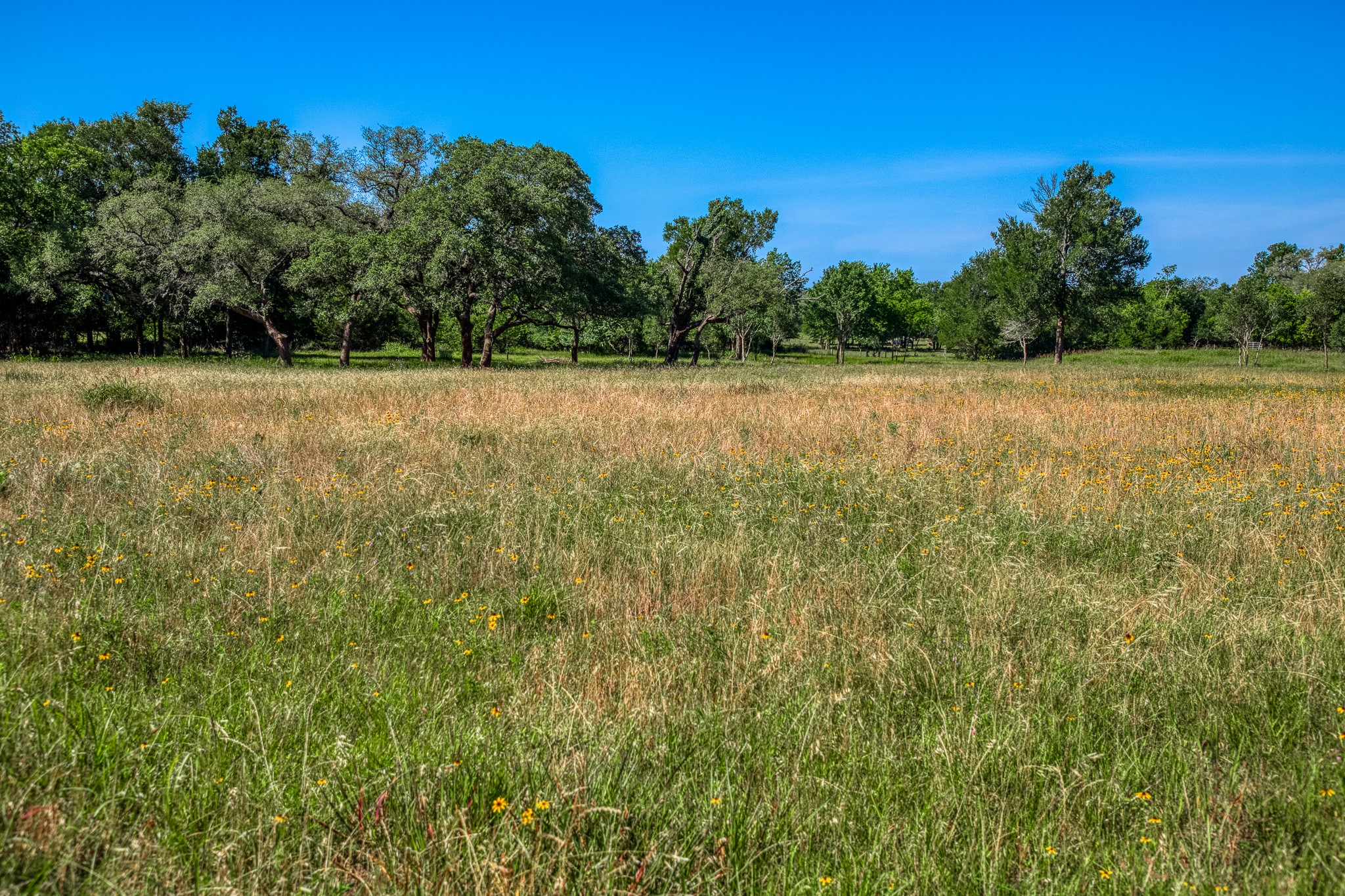 330 North Nassau Road Round Top, TX 78954 - Photo 9 of 18