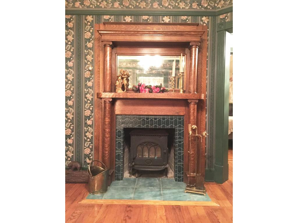 305 River Bend Road Greeneville, TN 37743 - Photo 11 of 36 Fireplace 2