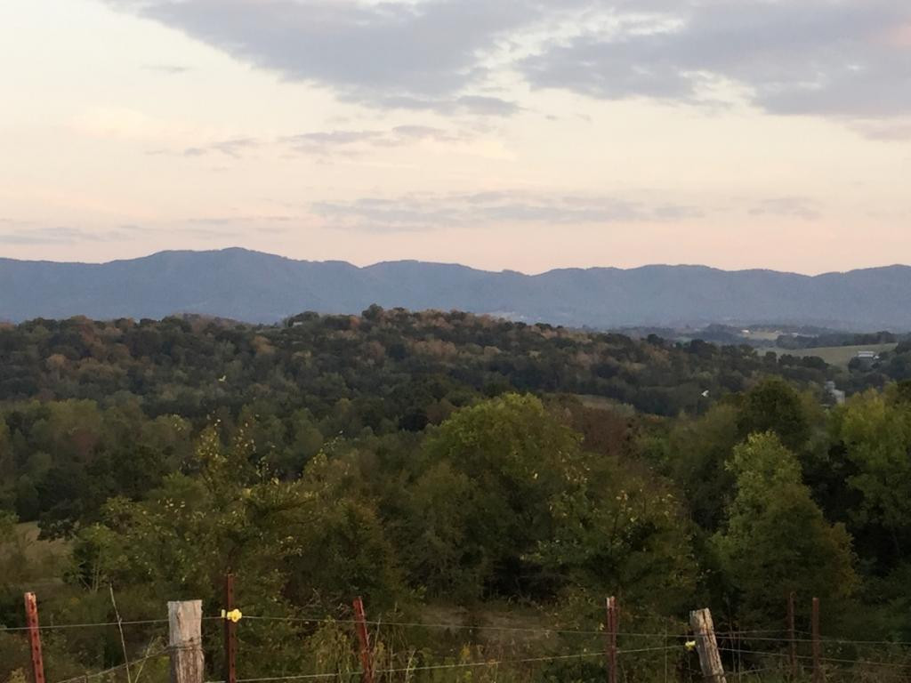 305 River Bend Road Greeneville, TN 37743 - Photo 3 of 36 Mountain View