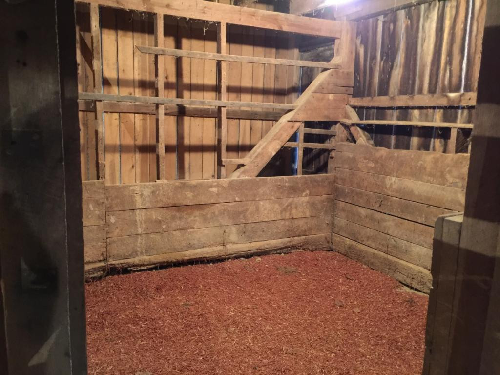 305 River Bend Road Greeneville, TN 37743 - Photo 33 of 36 Barn Stall