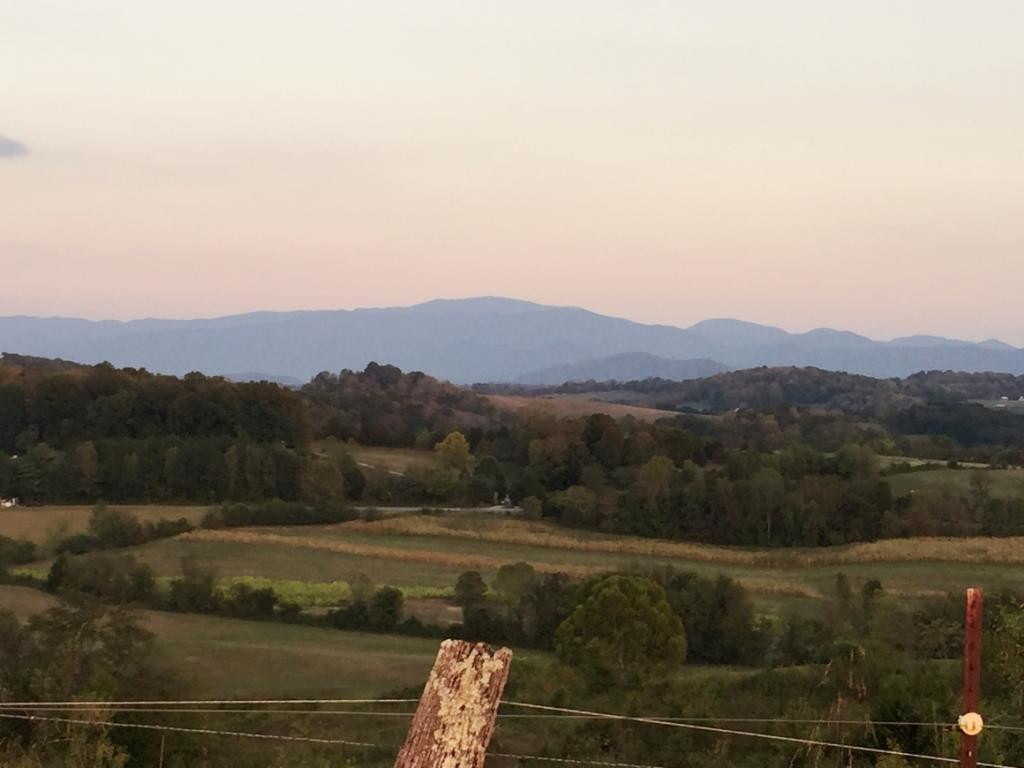 305 River Bend Road Greeneville, TN 37743 - Photo 4 of 36 Mountain View