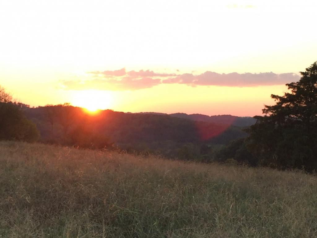 305 River Bend Road Greeneville, TN 37743 - Photo 5 of 36 Beautiful Sunset