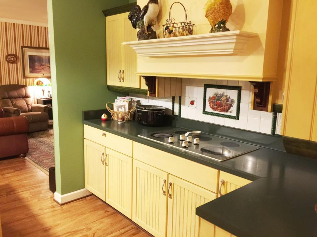 305 River Bend Road Greeneville, TN 37743 - Photo 8 of 36 Kitchen