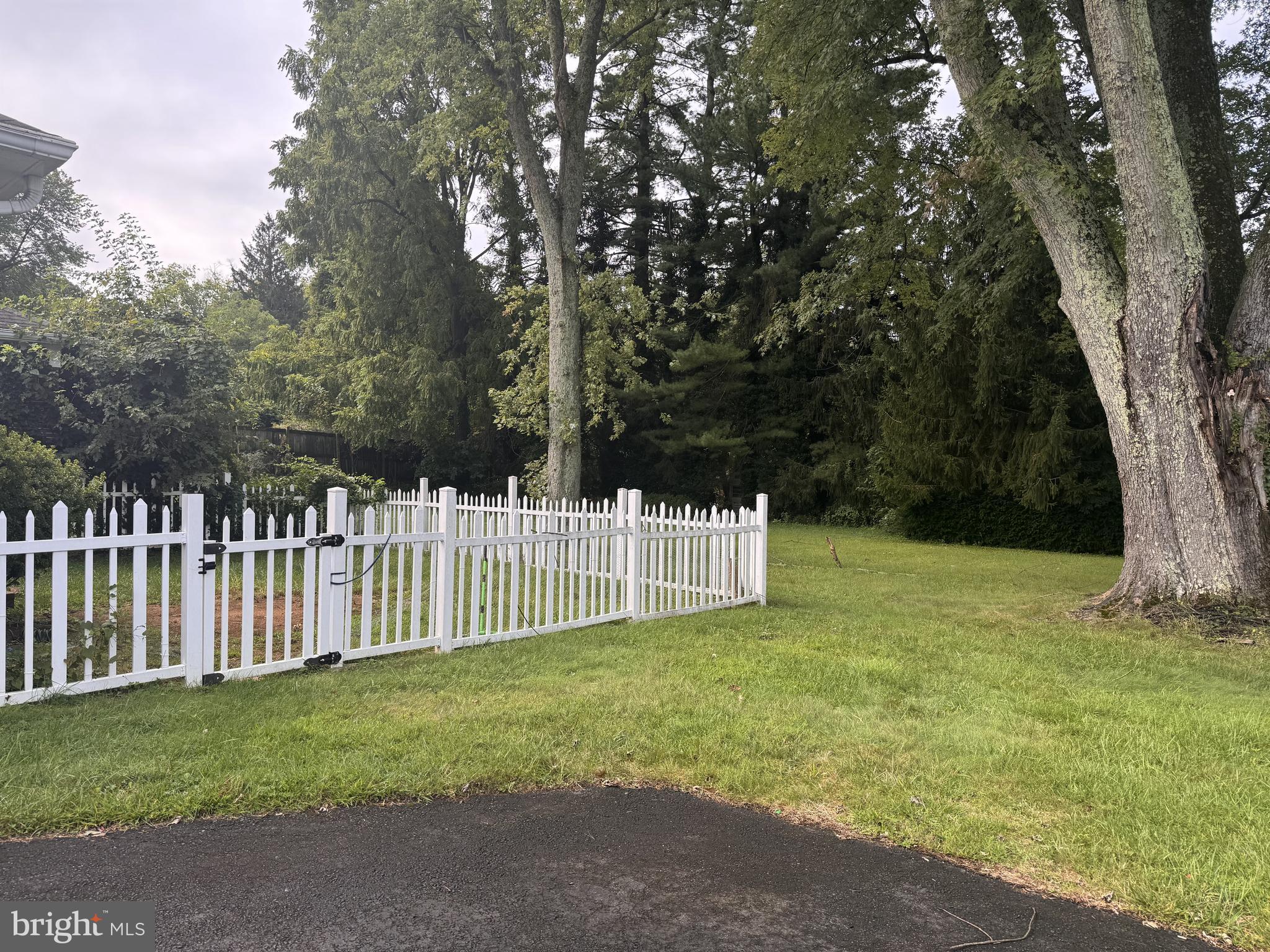 302 South Fountain Green Road Bel Air, MD 21015 - Photo 15 of 16 a view of a yard with large trees