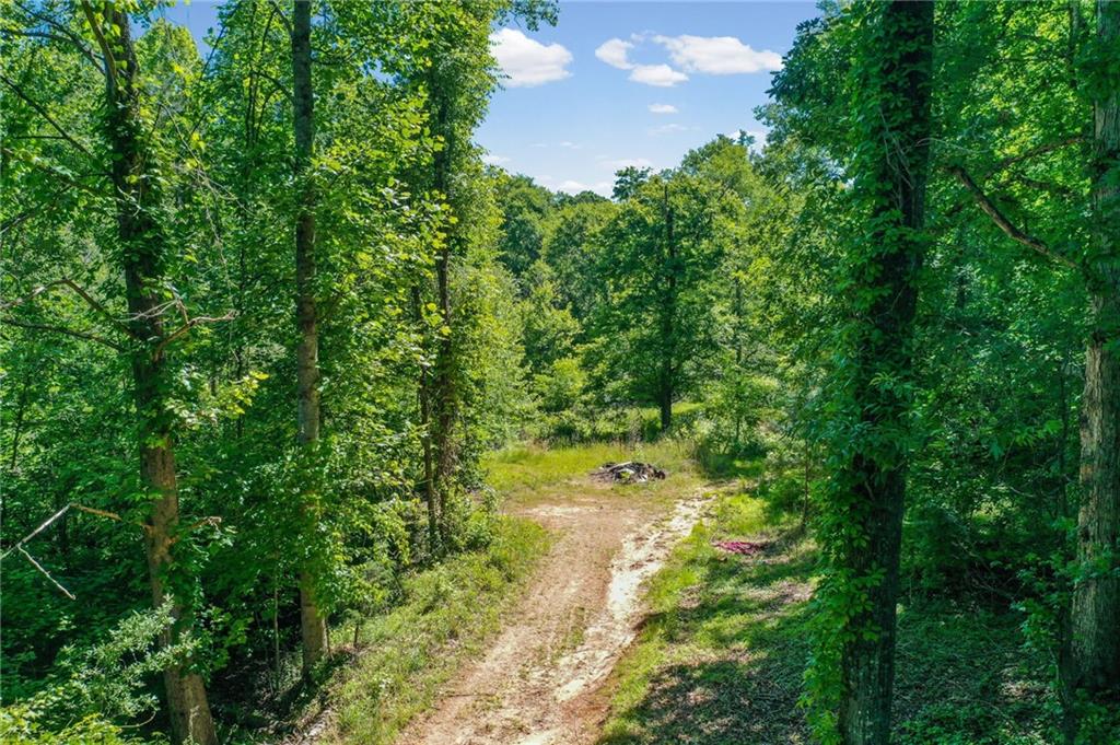 3960 Burnt Bridge Road Cumming, GA 30028 - Photo 15 of 33
