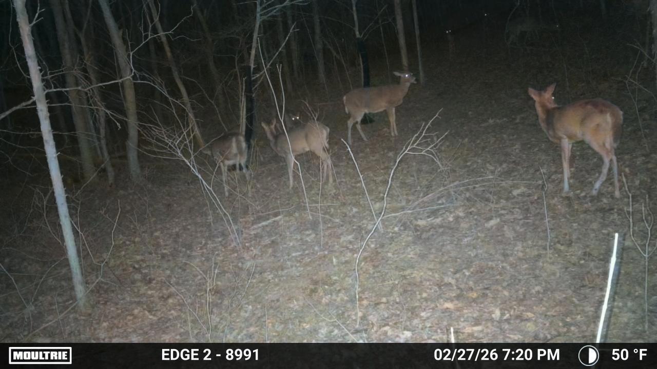 10792 New Columbus Road Owenton, KY 40359 - Photo 7 of 22 WL9