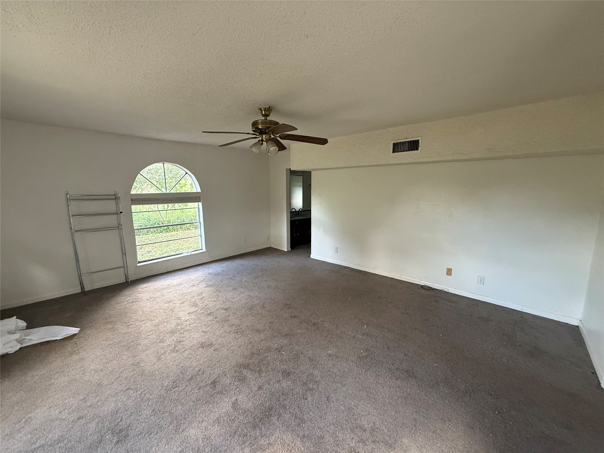 254 Lone Star Road Bastrop, TX 78602 - Photo 8 of 20 A spacious primary bedroom with an arched window and ceiling fan for comfortable relaxation.