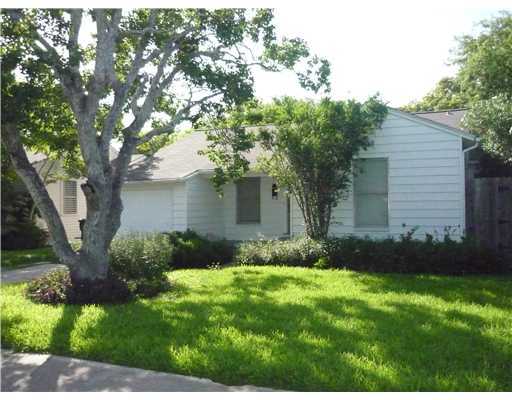 a backyard of a house with plants and large tree