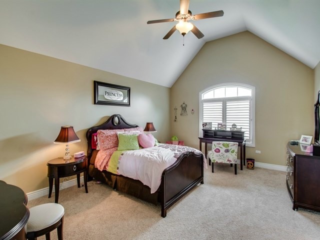 4519 Corktree Road Naperville, IL 60564 - Photo 16 of 25