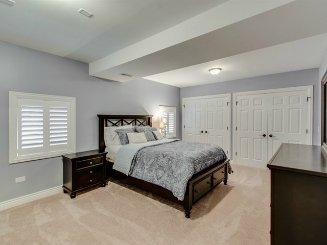 4519 Corktree Road Naperville, IL 60564 - Photo 22 of 25