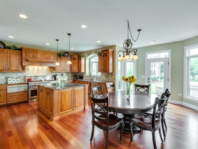 4519 Corktree Road Naperville, IL 60564 - Photo 5 of 25
