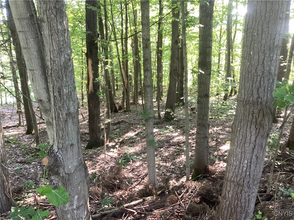 Smith Hill Road Deerfield, NY 13502 - Photo 2 of 5