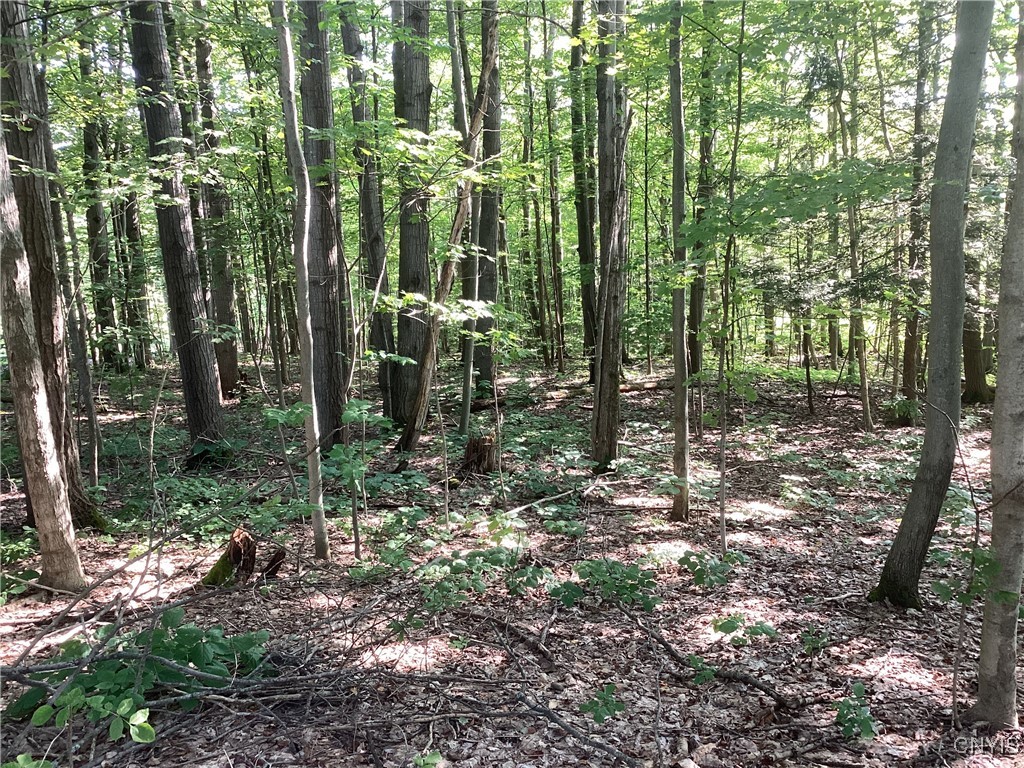 Smith Hill Road Deerfield, NY 13502 - Photo 3 of 5