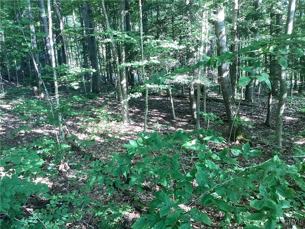 Smith Hill Road Deerfield, NY 13502 - Photo 4 of 5