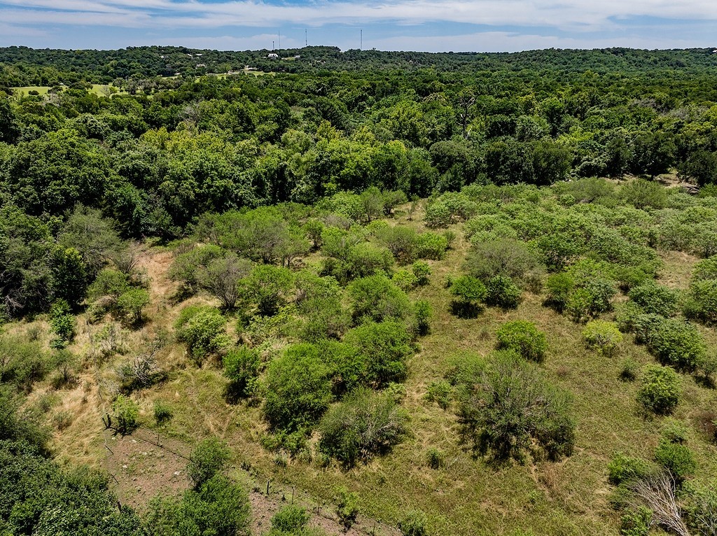 Tbd Bending Road La Grange, TX 78945 - Photo 9 of 13 a view of a green field with lots of bushes