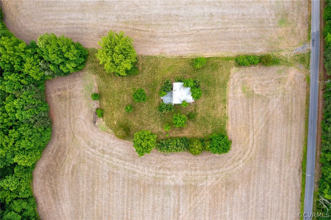 21108 Horseshoe Road Carson, VA 23830 - Photo 10 of 15 a close up of a white vase with flowers