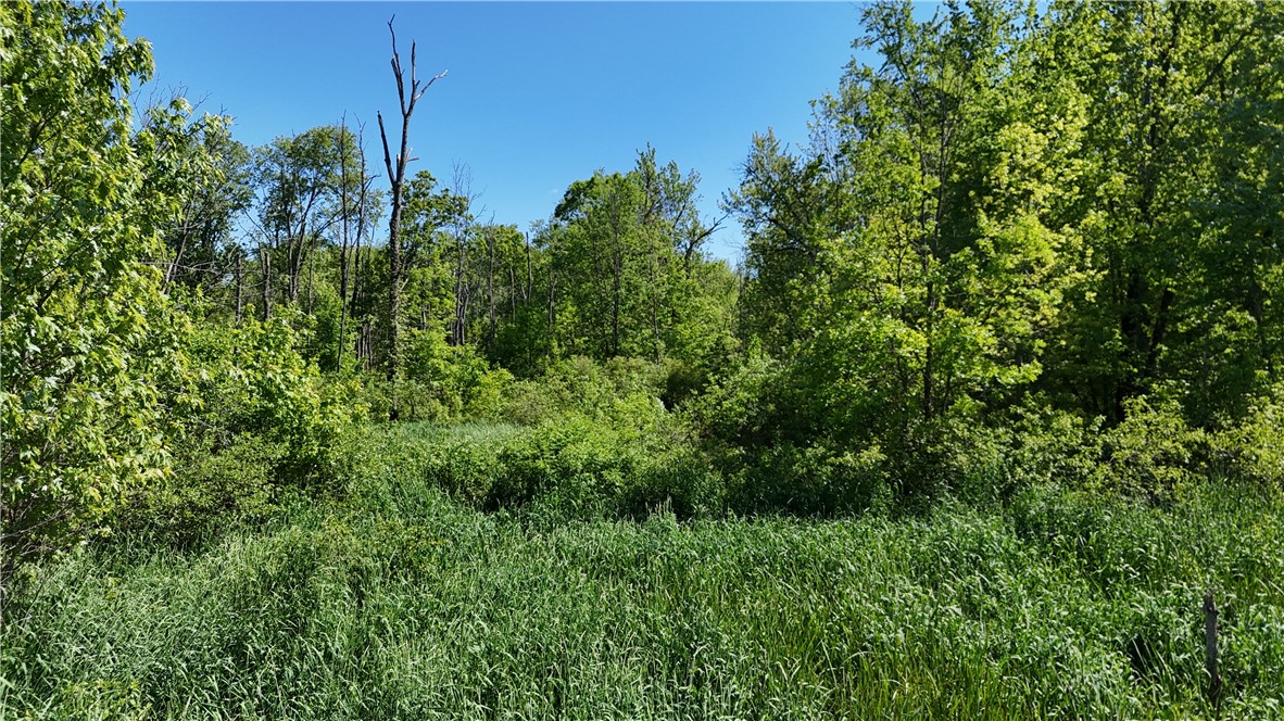 Dredge Ditch Road Conewango Valley, NY 14726 - Photo 10 of 21
