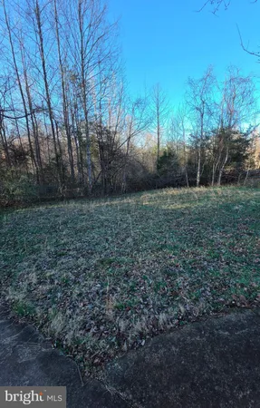 a view of a yard with trees
