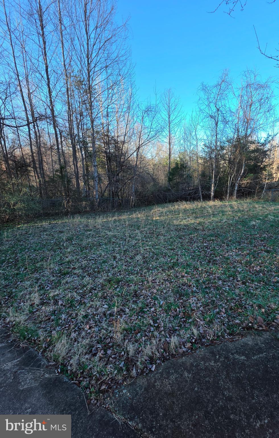 2263 Buckner Road Bumpass, VA 23024 - Photo 6 of 6 a view of a yard with trees