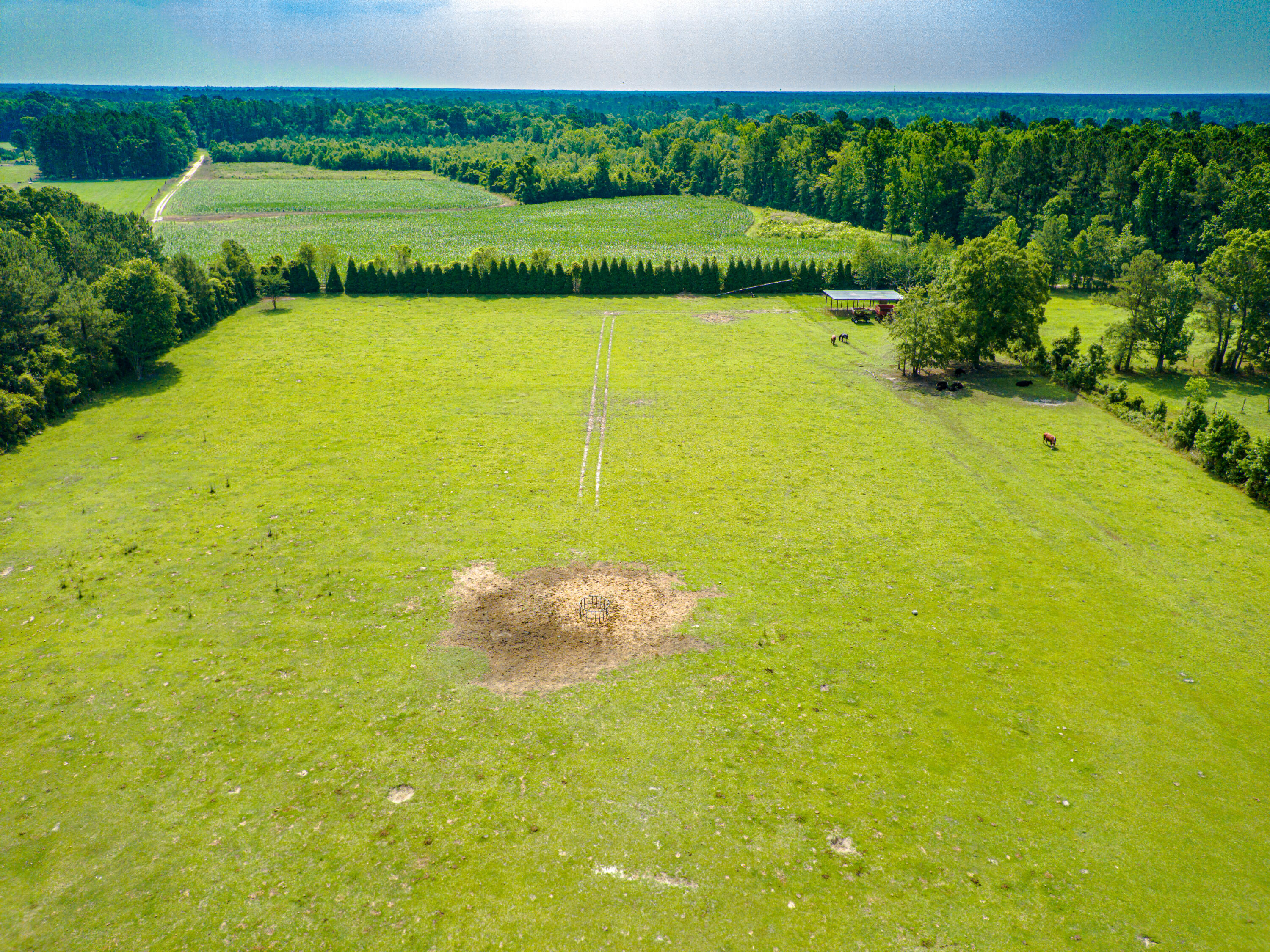1720 Hoodtown Road St. Stephen, SC 29479 - Photo 9 of 34 MAX_0129