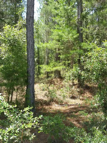 $120,000 | Lot C-11 Painted Post Lane, Tallahassee, FL 32305