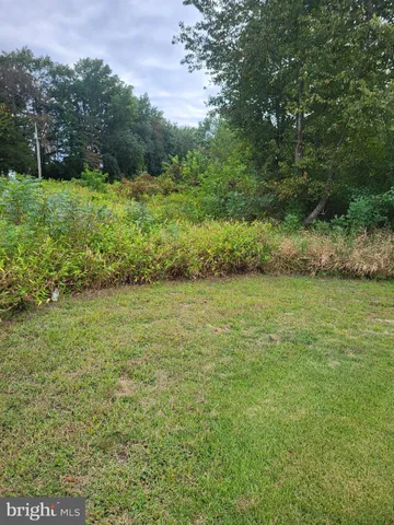 a view of outdoor space and yard