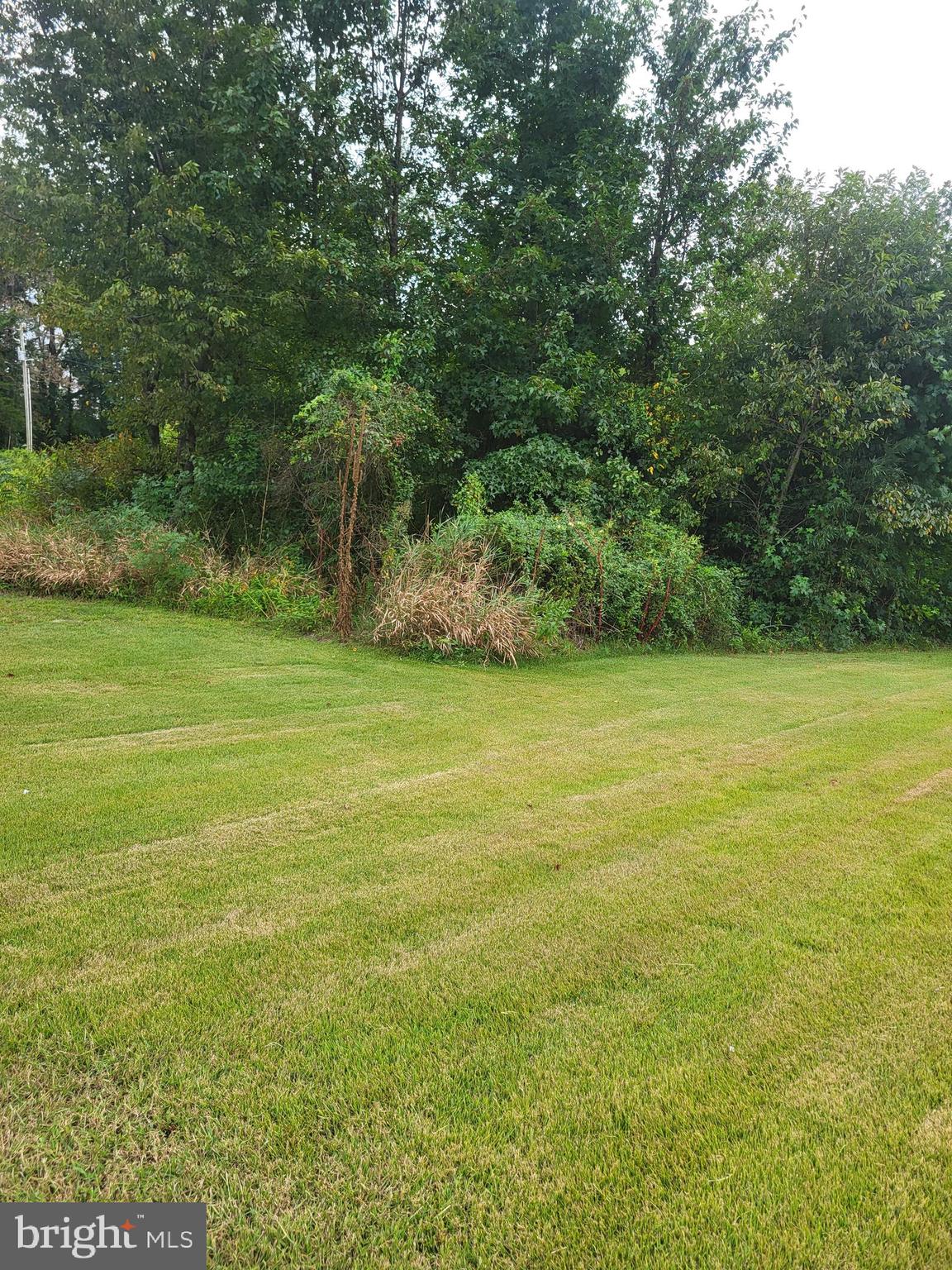 5120 Halltown Road Hartly, DE 19953 - Photo 2 of 4 a view of a green field with a tree