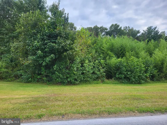 a view of an outdoor space and a yard