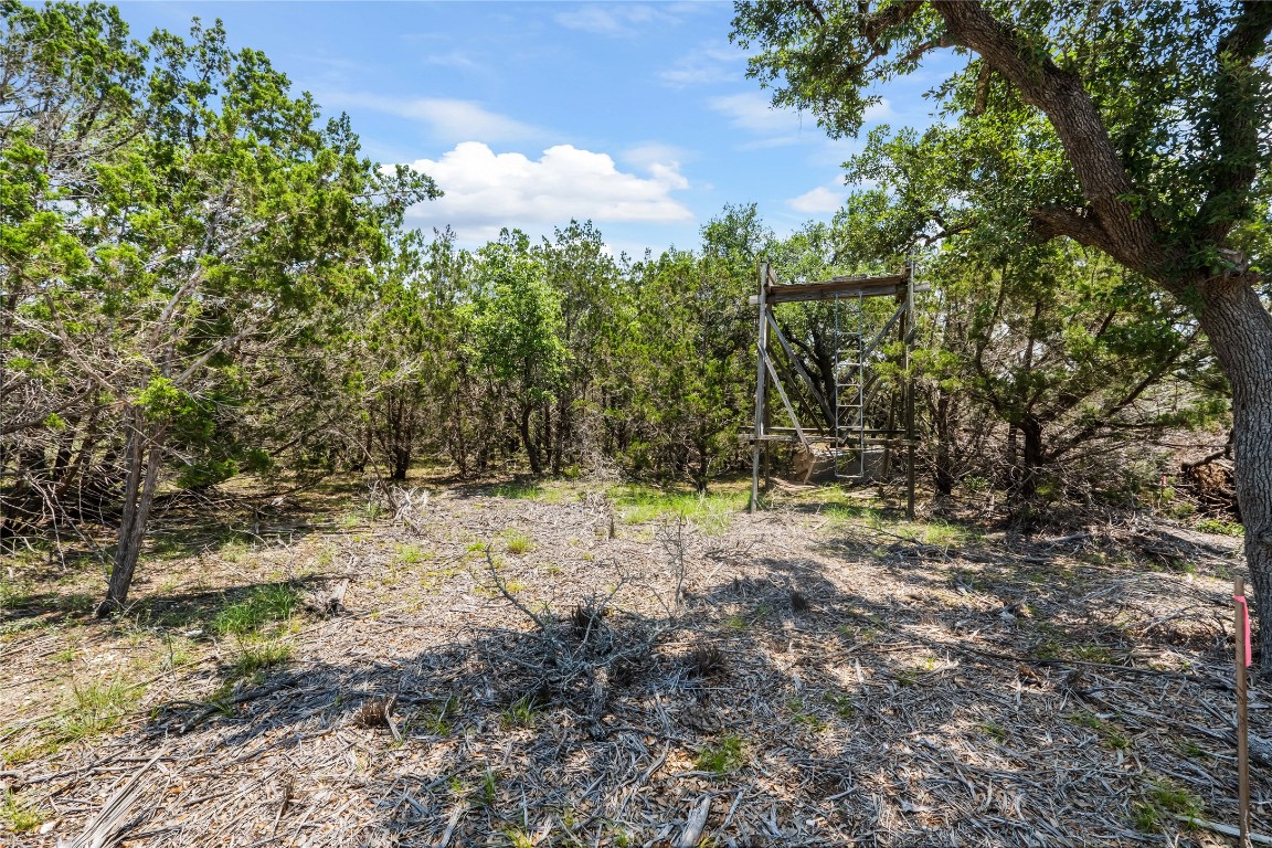 Tbd Kestrel Drive Austin, TX 78737 - Photo 2 of 8 a view of a yard with plants and a trees