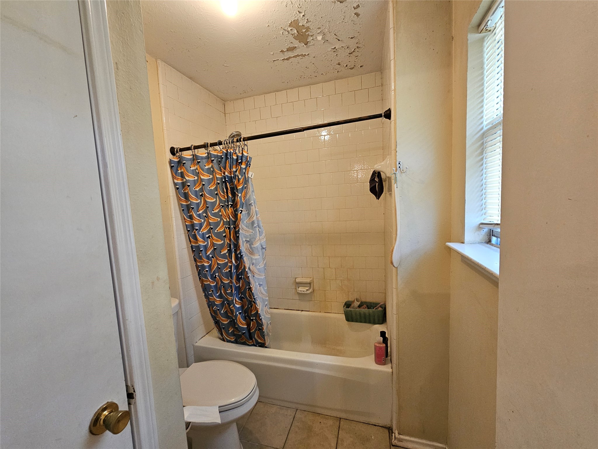 13615 Repa Lane Houston, TX 77014 - Photo 27 of 30 a bathroom with a shower and toilet