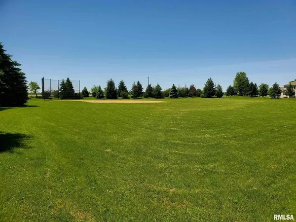 a view of a field with two trees in the background