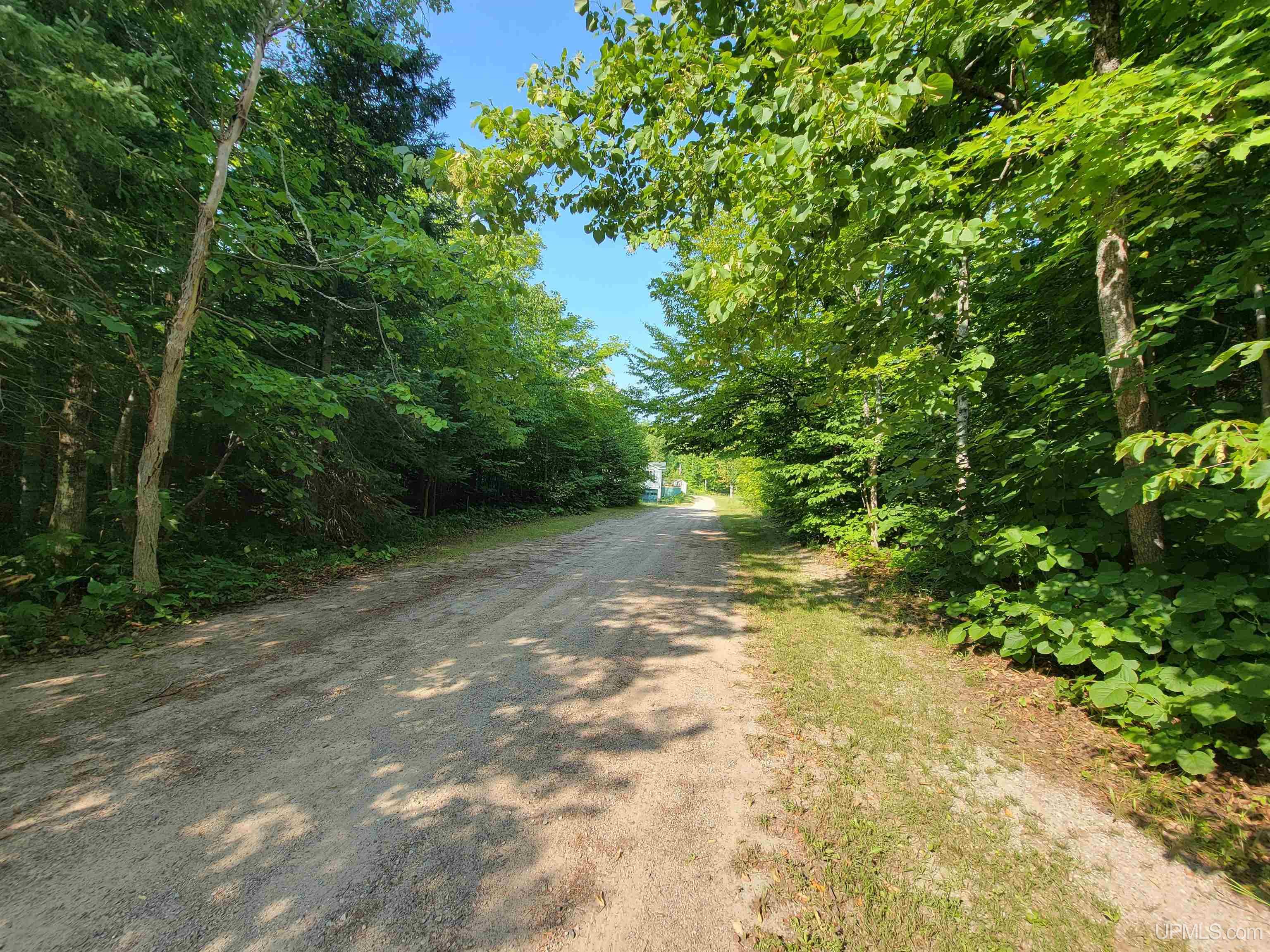 N7209 Co Road Shingleton, MI 49884 - Photo 41 of 46